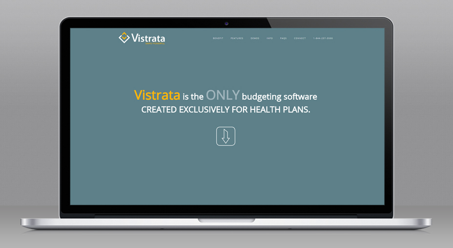 Vistrata Home Page Website Design