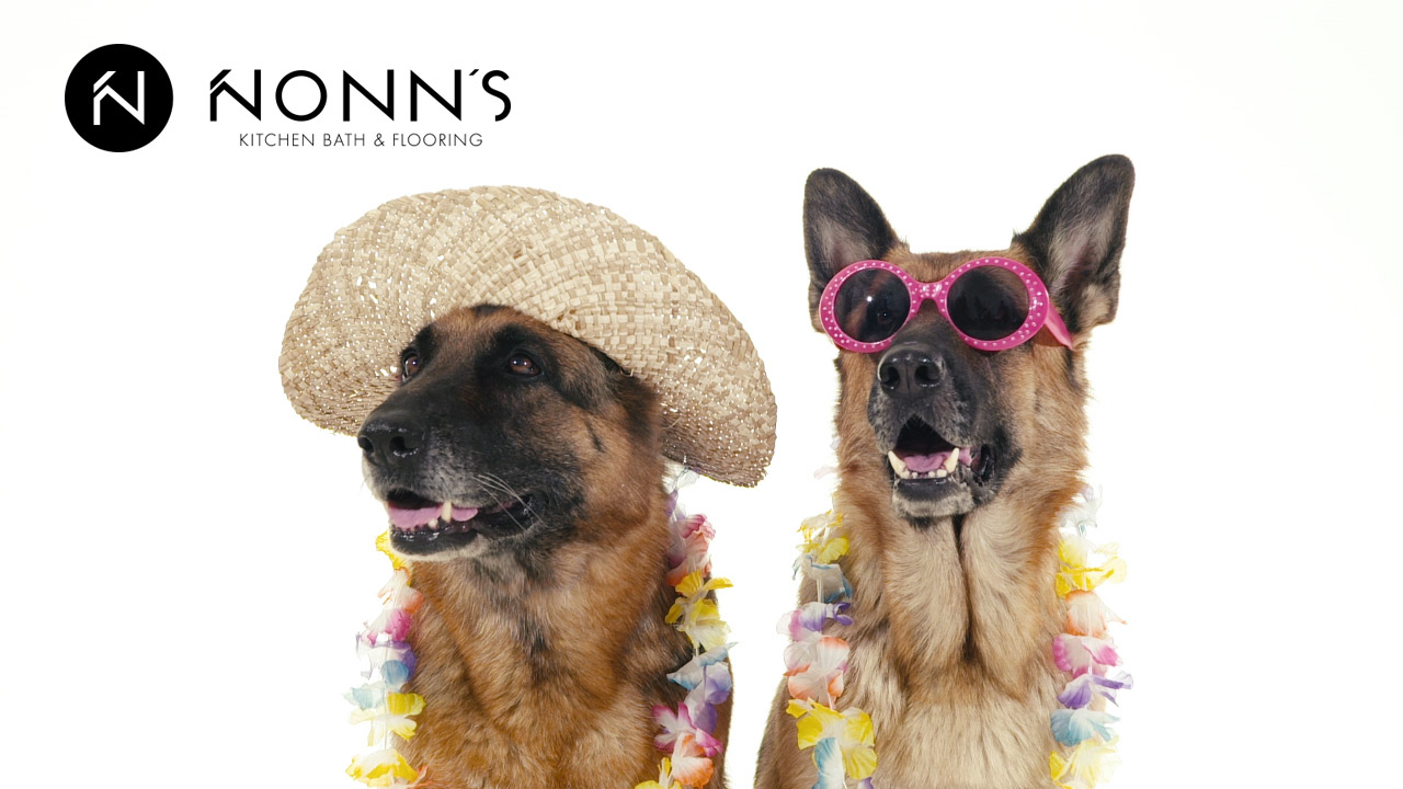 Television Advertising - Delightful Surprise: Dogs and Vacation Nonn's