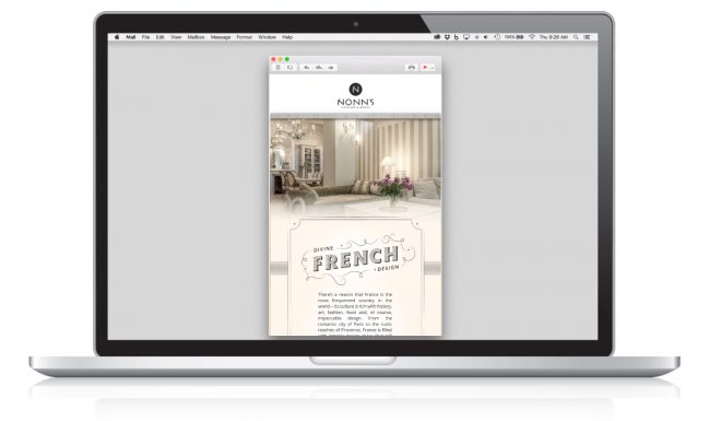 Insiders List - Divine French Design - Email Marketing