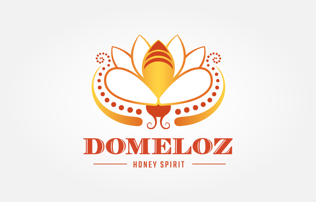 Domeloz - Logo Design by Pop-Dot Marketing