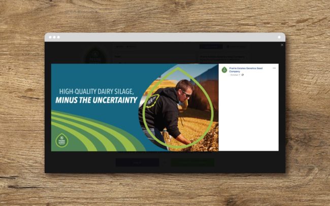 Prairie Estates Genetics Social Graphic 2