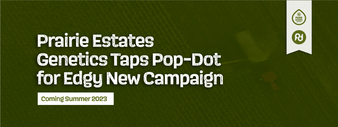 PEG Taps Pop-Dot for Edgy New Campaign